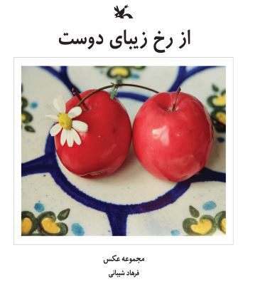 پایانه - از رخ زیبای دوست