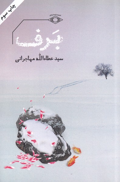 پایانه - برف