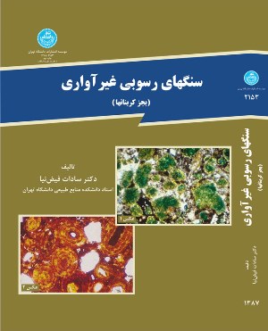 پایانه - سنگهای رسوبی غیر آواری