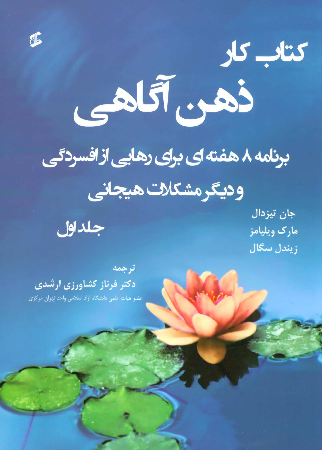 پایانه - کار ذهن آگاهی 1