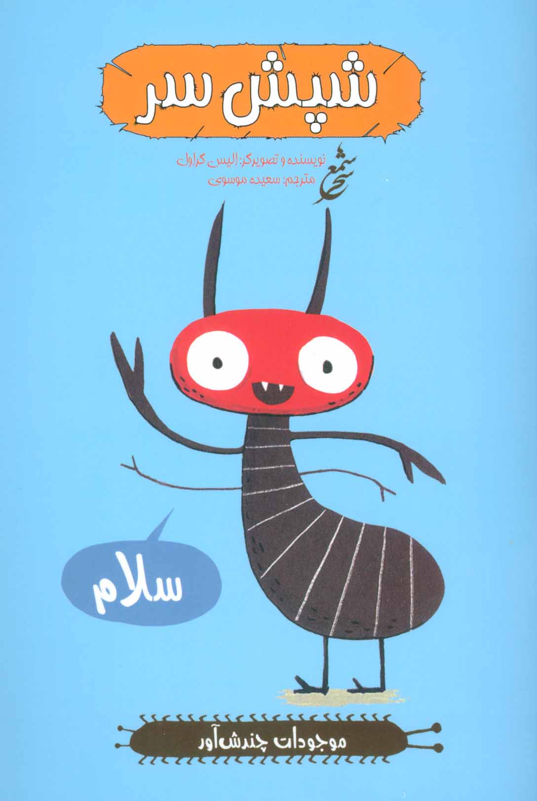 پایانه - شپش سر