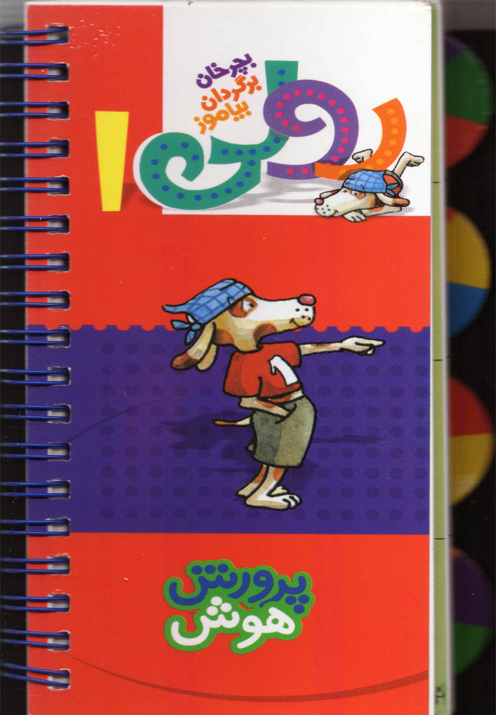 پایانه - رولی 1