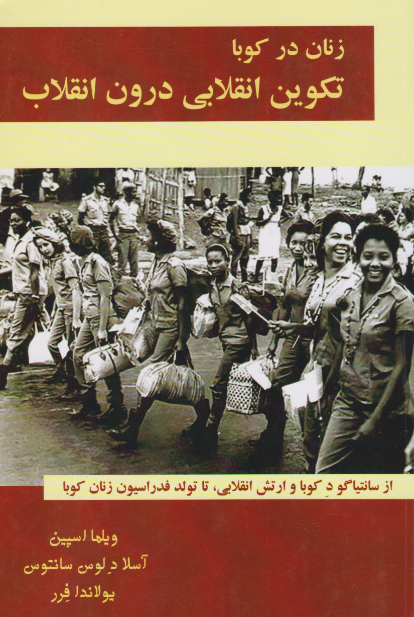 پایانه - تکوین انقلابی درون انقلاب