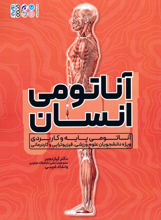 پایانه - آناتومی انسان