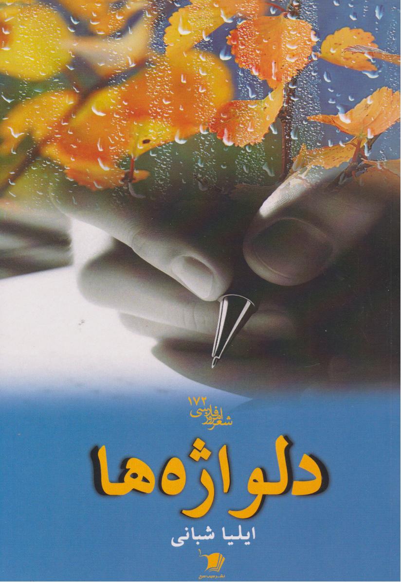 پایانه - دلواژه ها