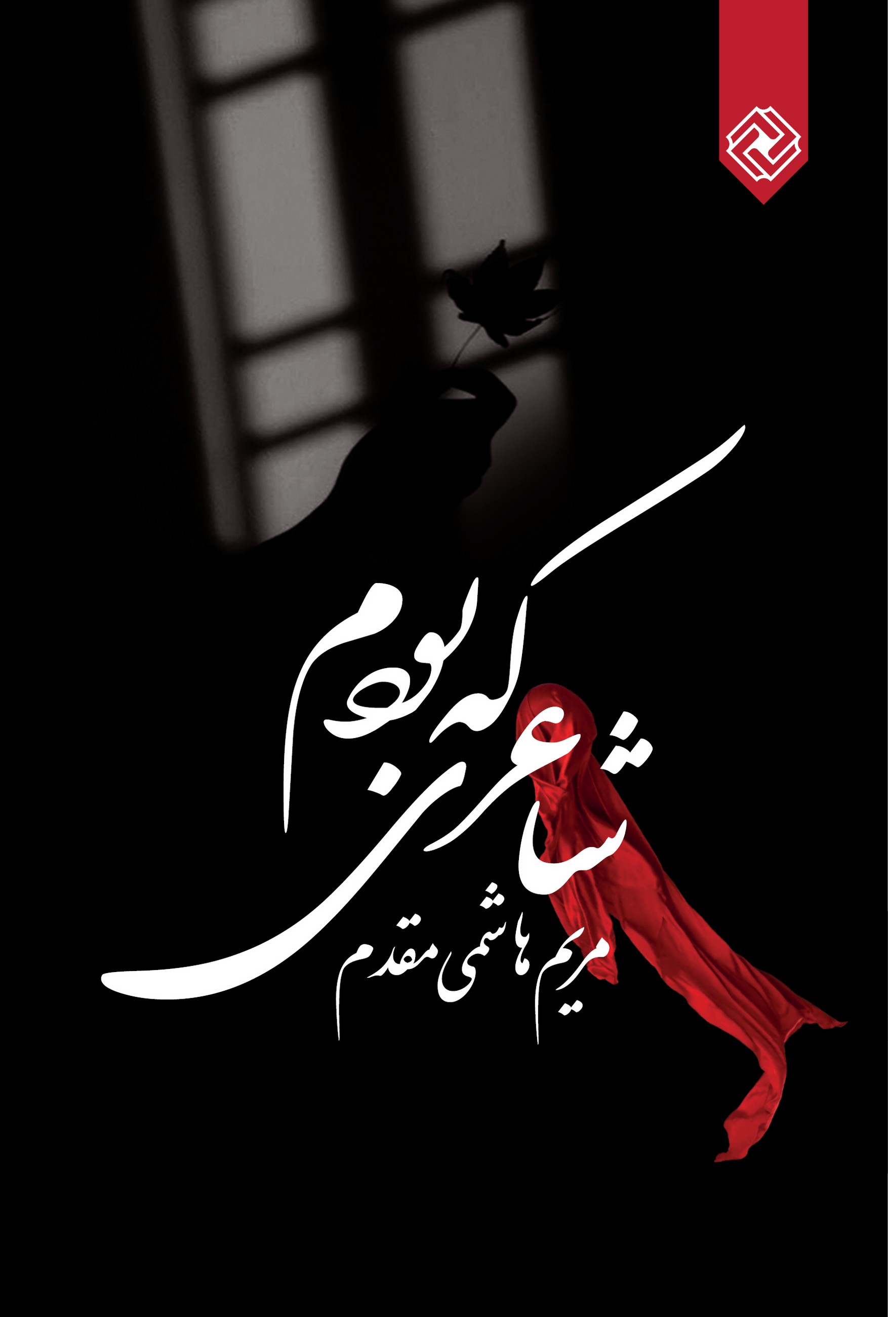 پایانه - شاعری که بودم