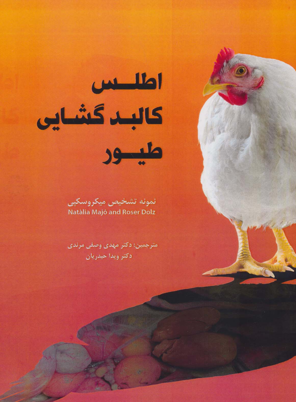 پایانه - اطلس کالبد گشایی طیور