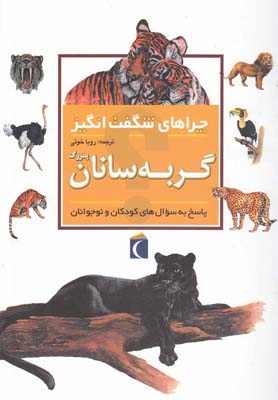 پایانه - دانستنی هایی درباره گربه سانان