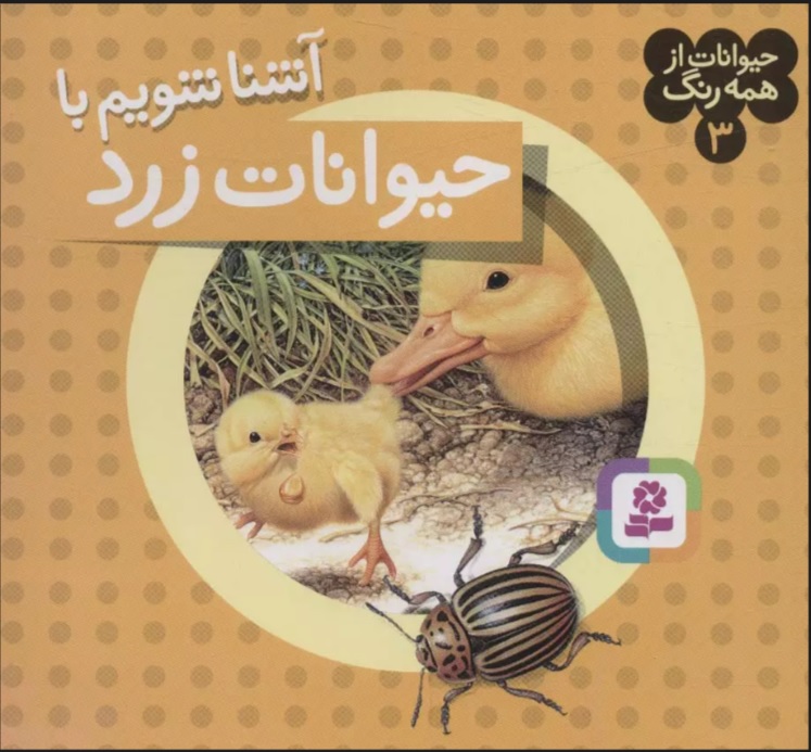 پایانه - آشنا شویم با حیوانات زرد