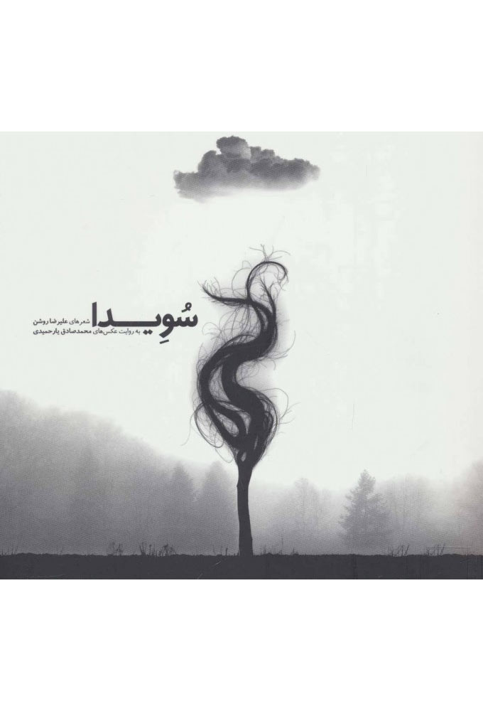 پایانه - سویدا