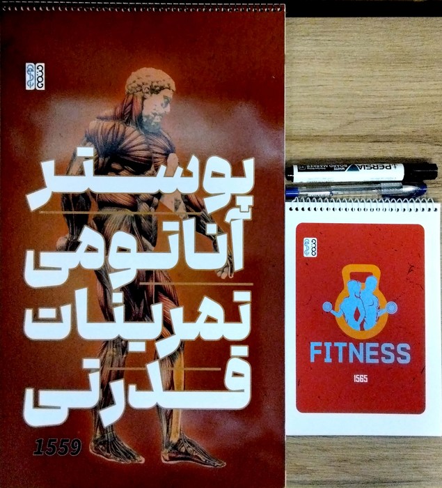 پایانه - پوستر آناتومی تمرینات قدرتی