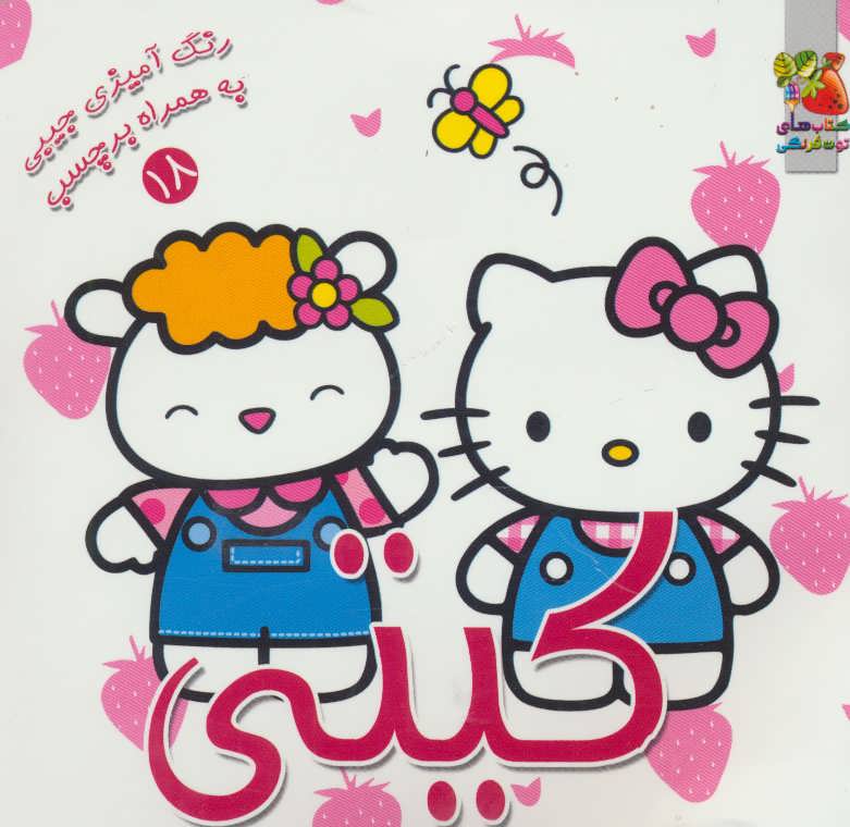 پایانه - کیتی