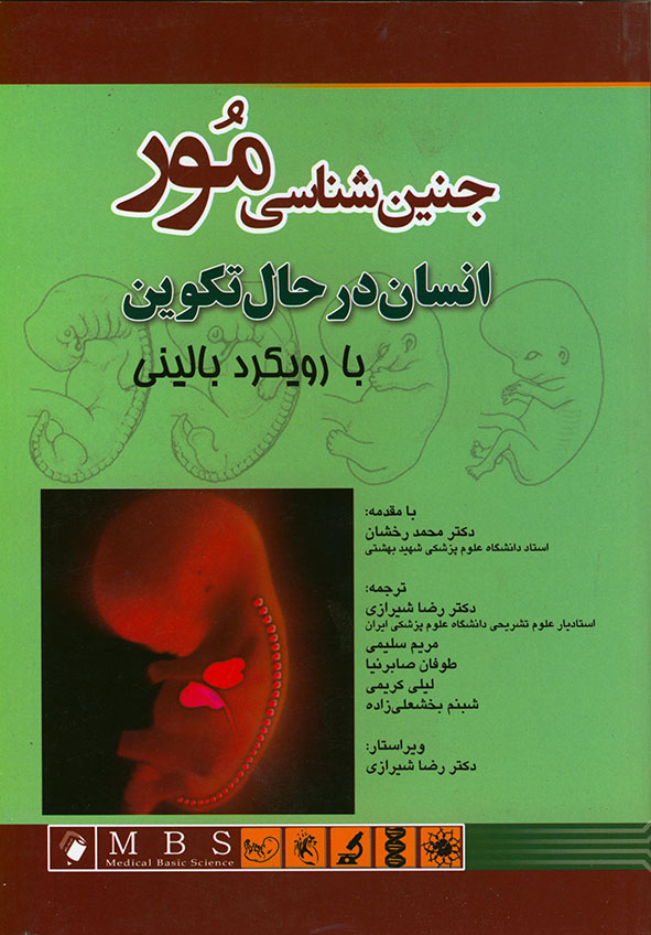 پایانه - جنین شناسی مور انسان در حال تکوین