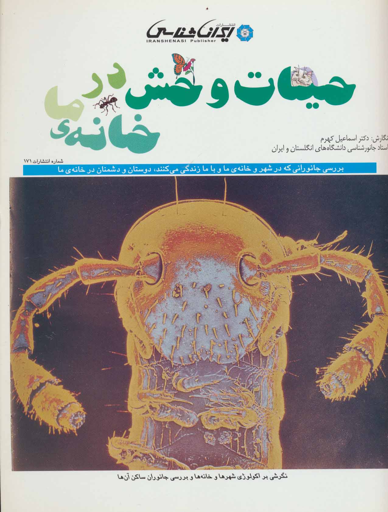 پایانه - حیات وحش در خانه ی ما