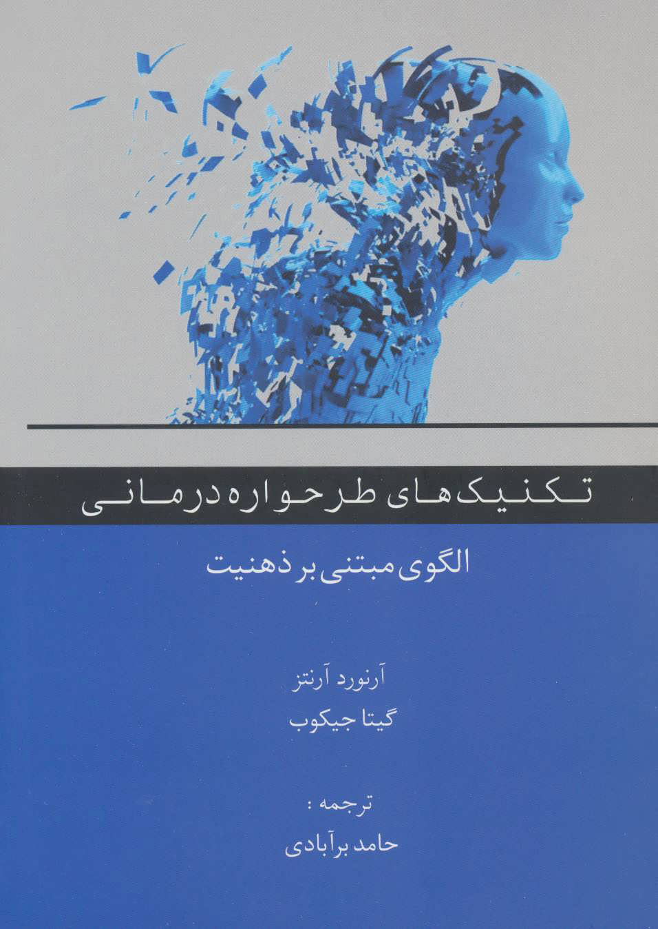 پایانه - تکنیک های طرحواره درمانی