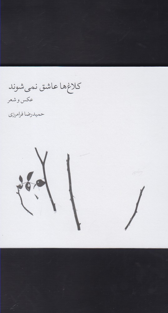 پایانه - کلاغ ها عاشق نمی شوند