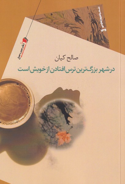 پایانه - در شهر بزرگ ترین ترس افتادن از خویش