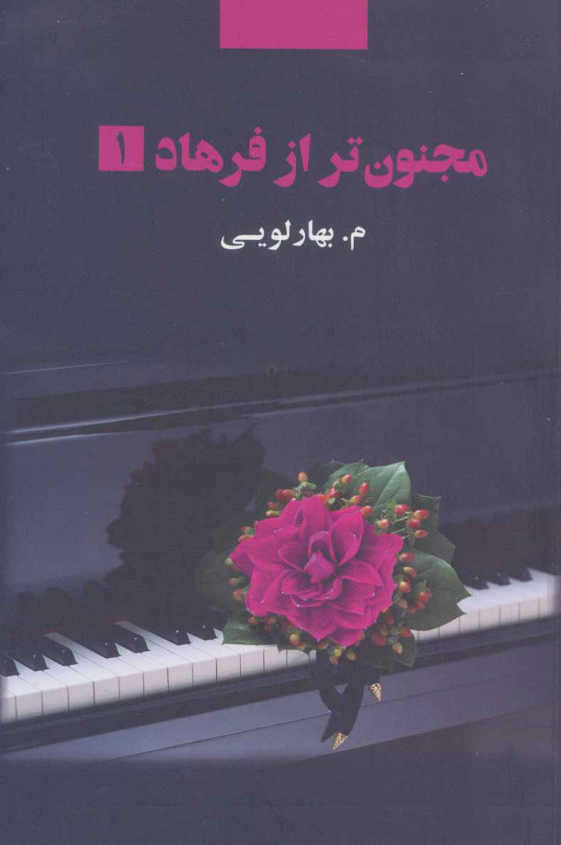 پایانه - مجنون تر از فرهاد (2 جلدی)