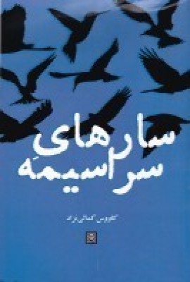 پایانه - سارهای سراسیمه