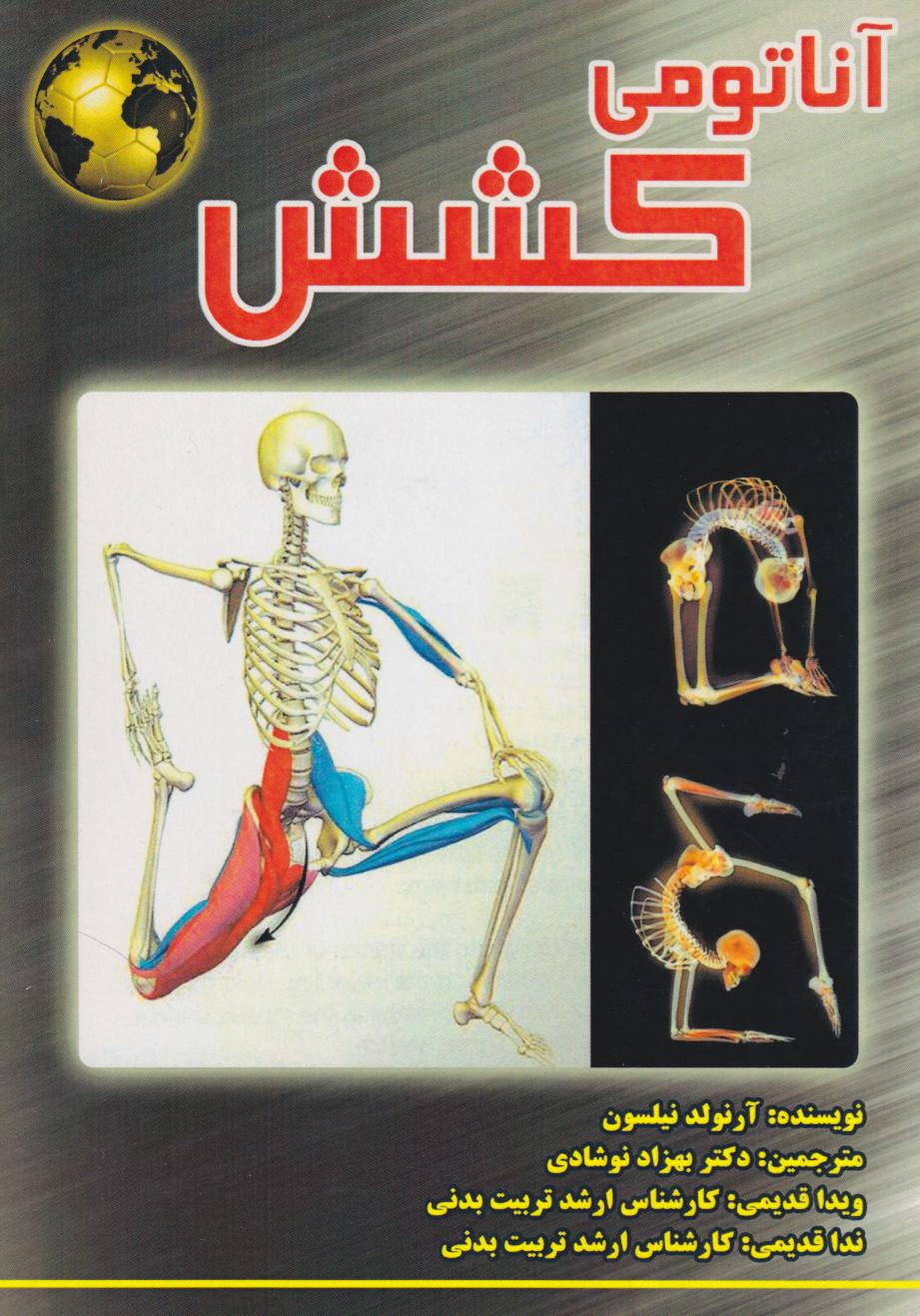 پایانه - آناتومی کشش