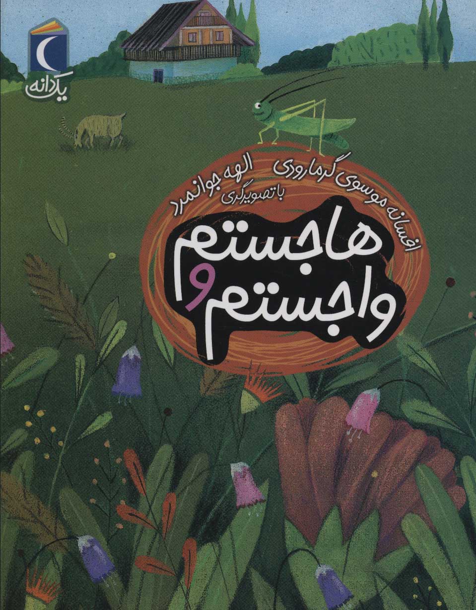 پایانه - هاجستم و واجستم