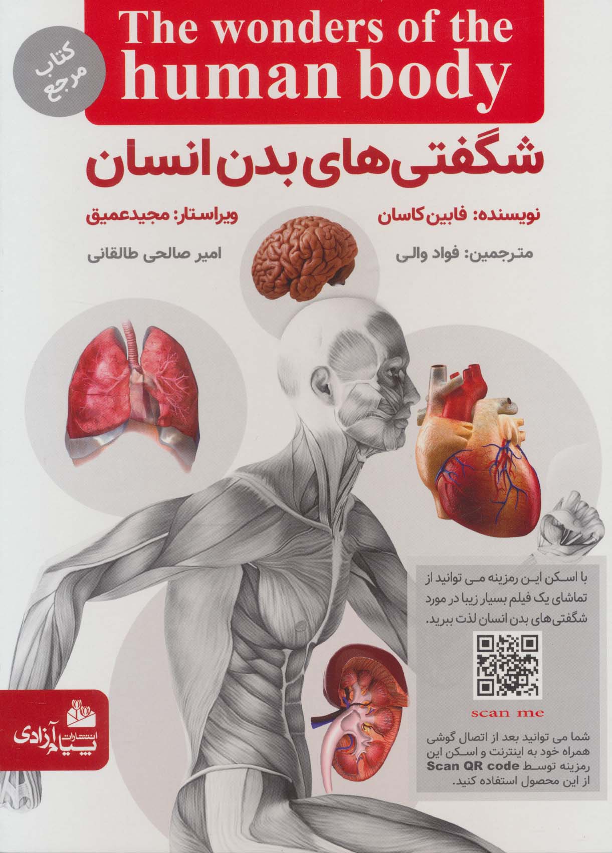 پایانه - شگفتی های بدن انسان