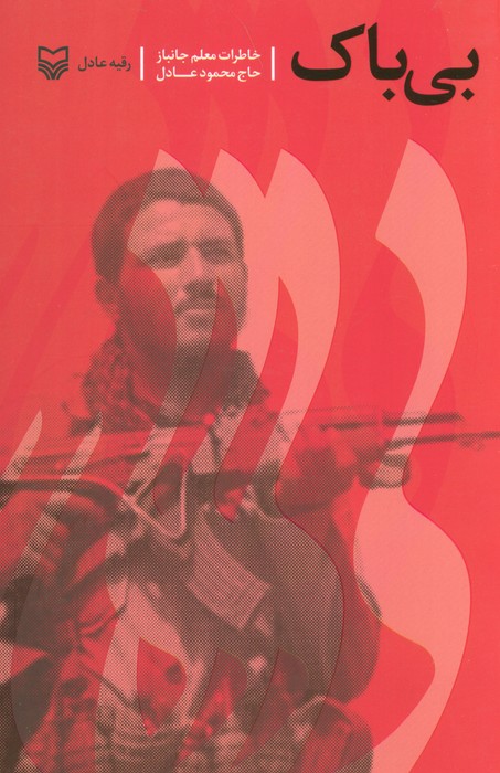 پایانه - بی باک