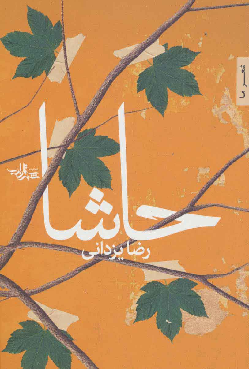 پایانه - حاشا