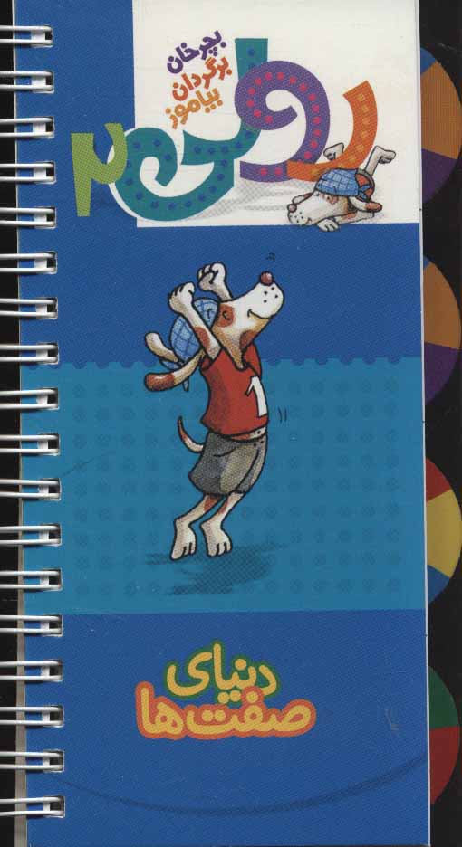 پایانه - رولی 2