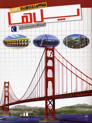 پایانه - پل ها