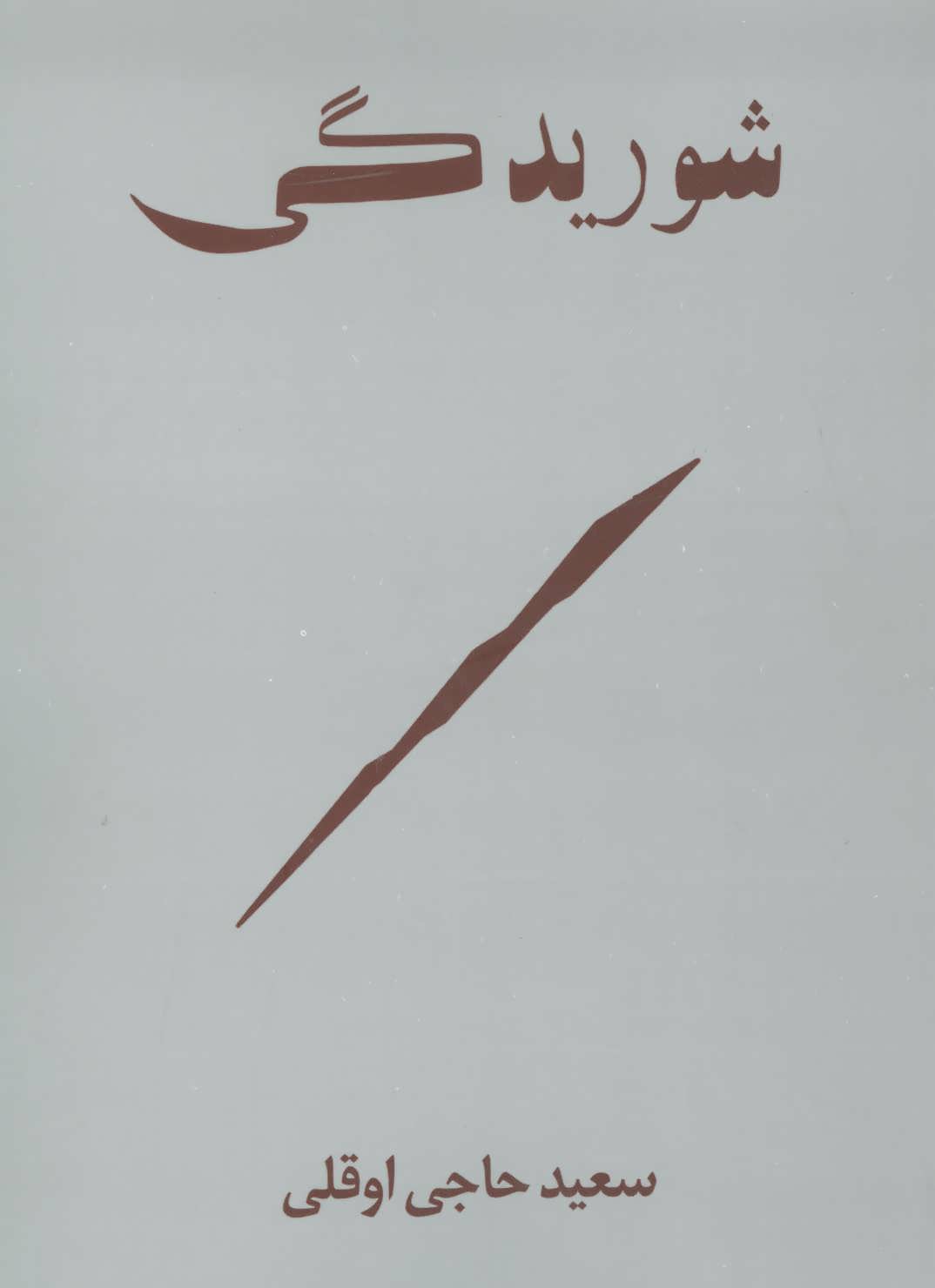 پایانه - شوریدگی