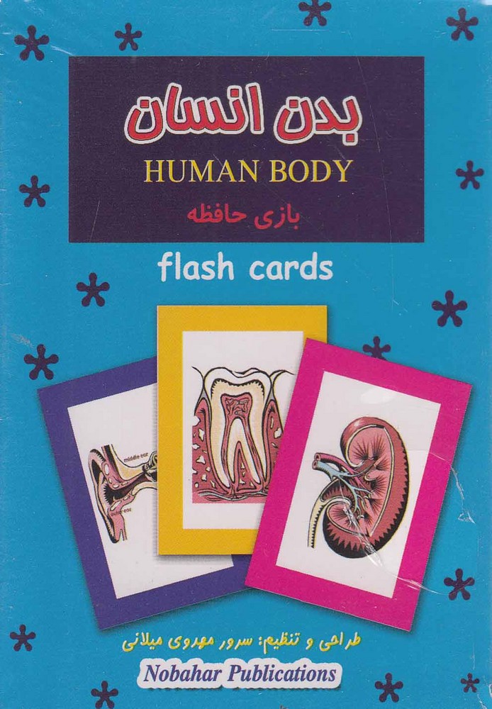 پایانه - بدن انسان