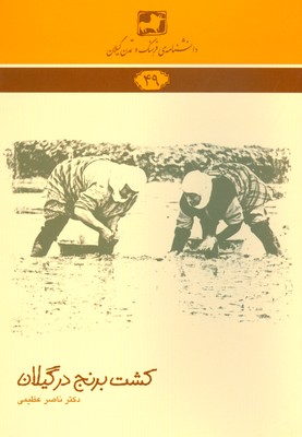 پایانه - کشت برنج در گیلان