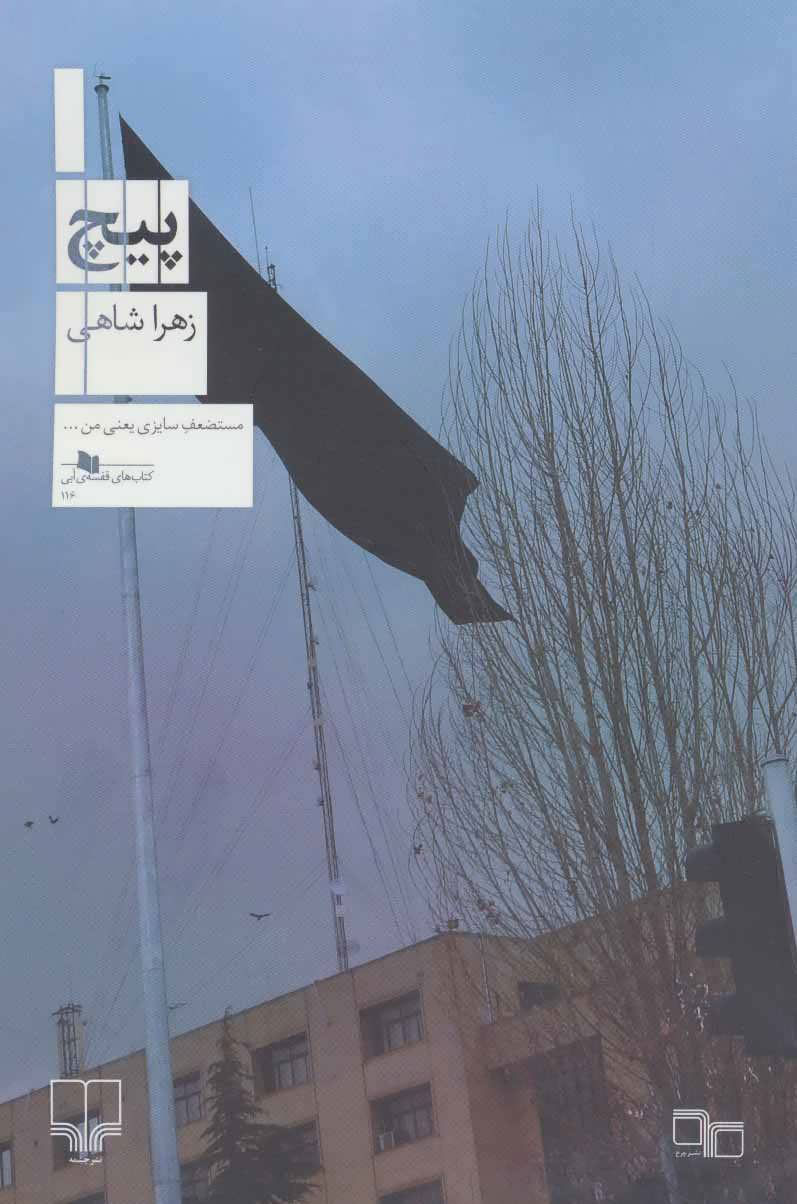 پایانه - پیچ