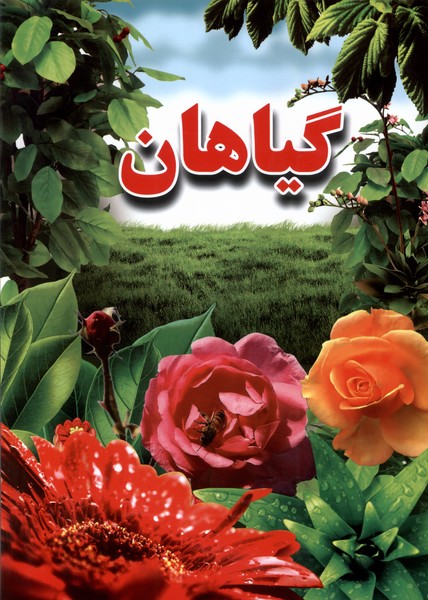 پایانه - گیاهان