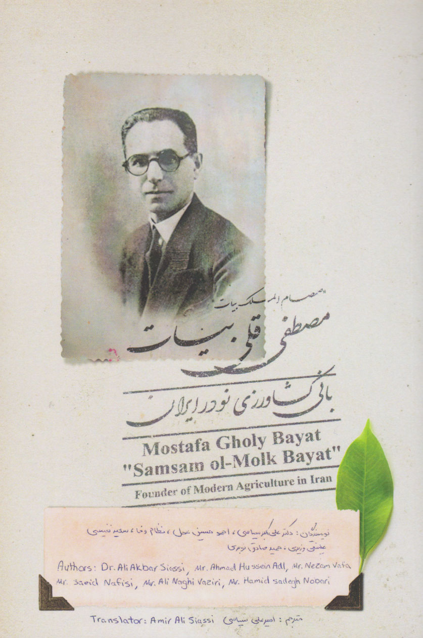 پایانه - مصطفی قلی بیات