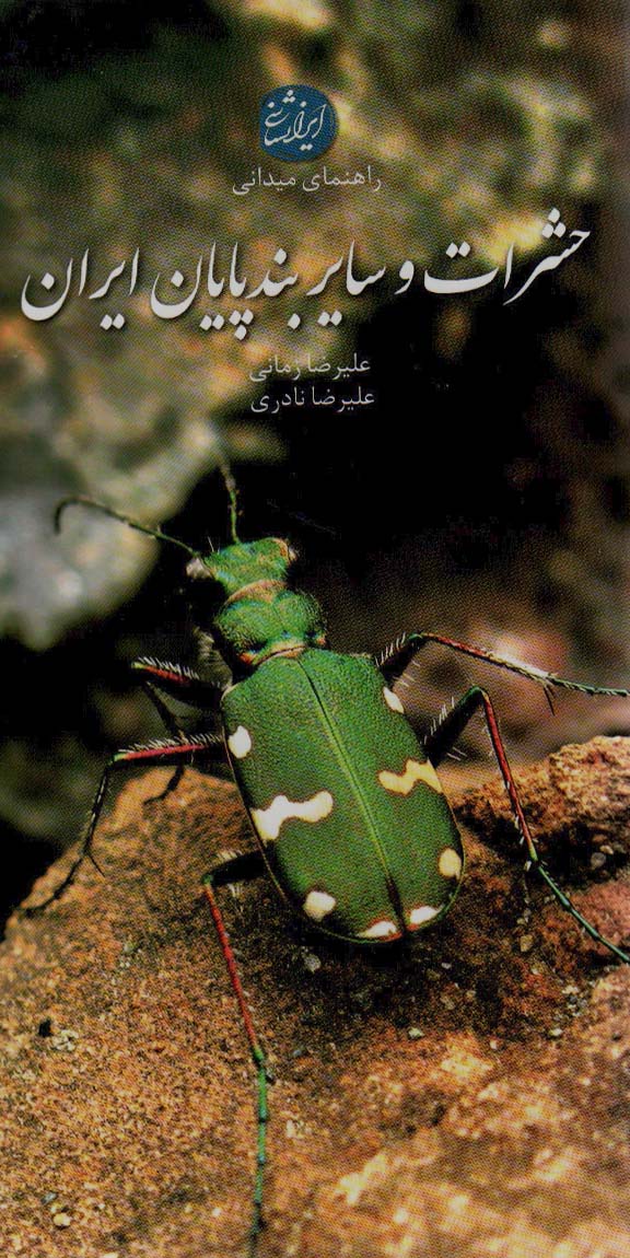 پایانه - حشرات و سایر بندپایان ایران