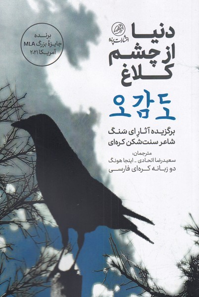 پایانه - دنیا از چشم کلاغ