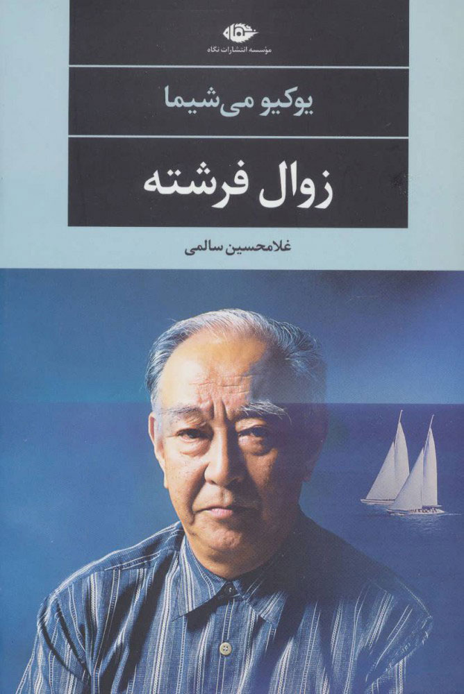 پایانه - زوال فرشته