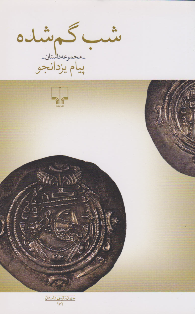 پایانه - شب گم شده