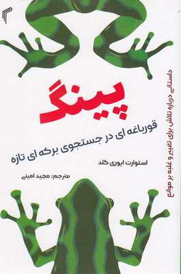 پایانه - پینگ