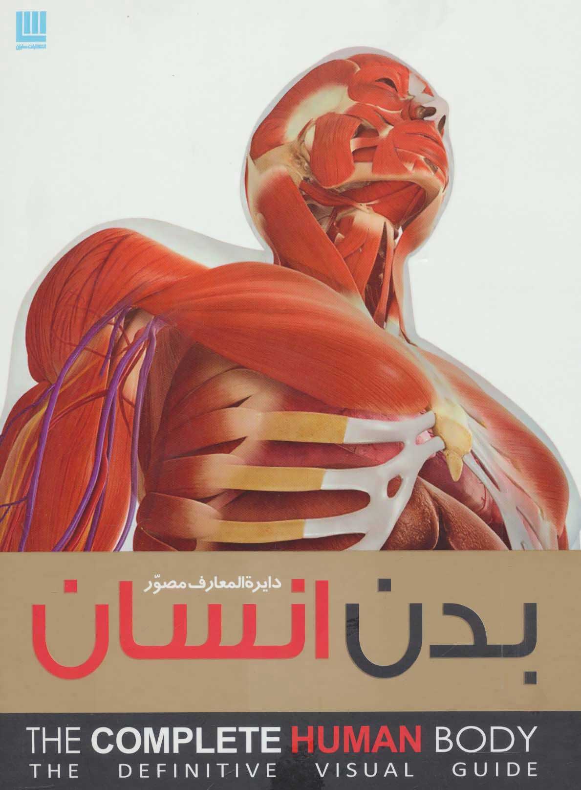 پایانه - دایره المعارف مصور بدن انسان