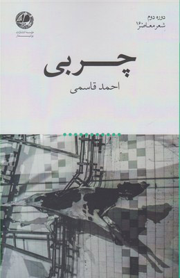 پایانه - چربی