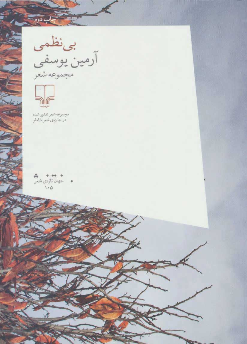 پایانه - بی نظمی