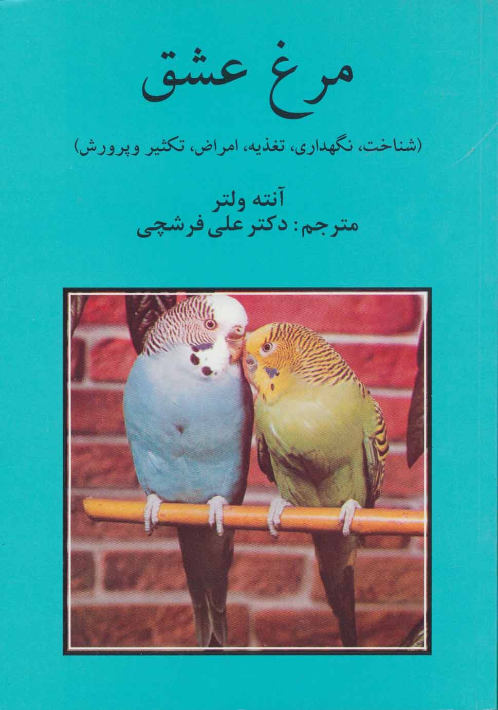 پایانه - مرغ عشق