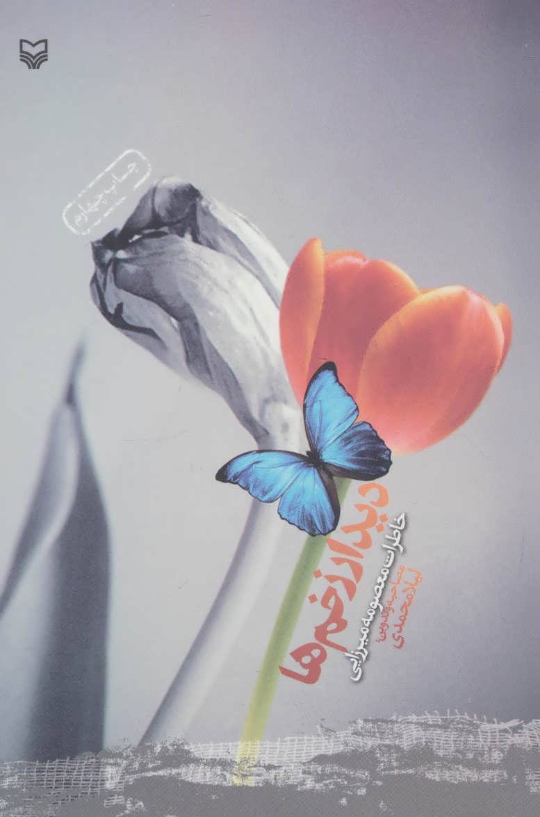 پایانه - دیدار زخم ها