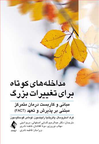 پایانه - مداخله های کوتاه برای تغییرات بزرگ