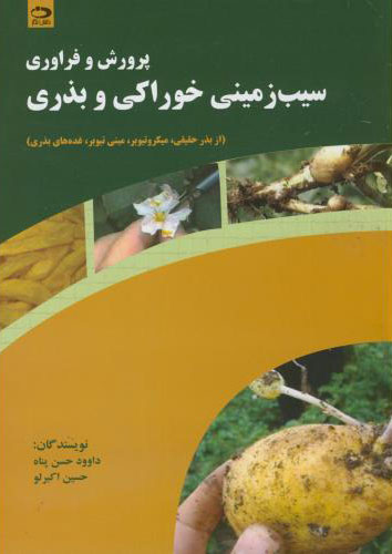 پایانه - پرورش و فراوری سیب زمینی خوراکی و بذری