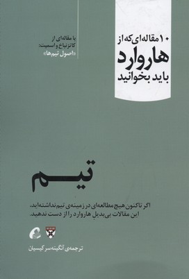 پایانه - تیم