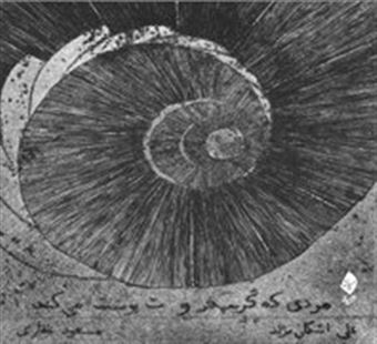 پایانه - مردی که گریپ فروت پوست می کند